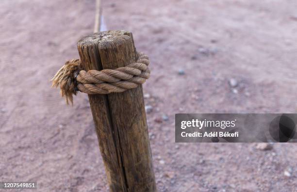 Tining Rope To Post 2,652 Tied To Post Stock Photos, High-Res Pictures, and Images - Getty ...
