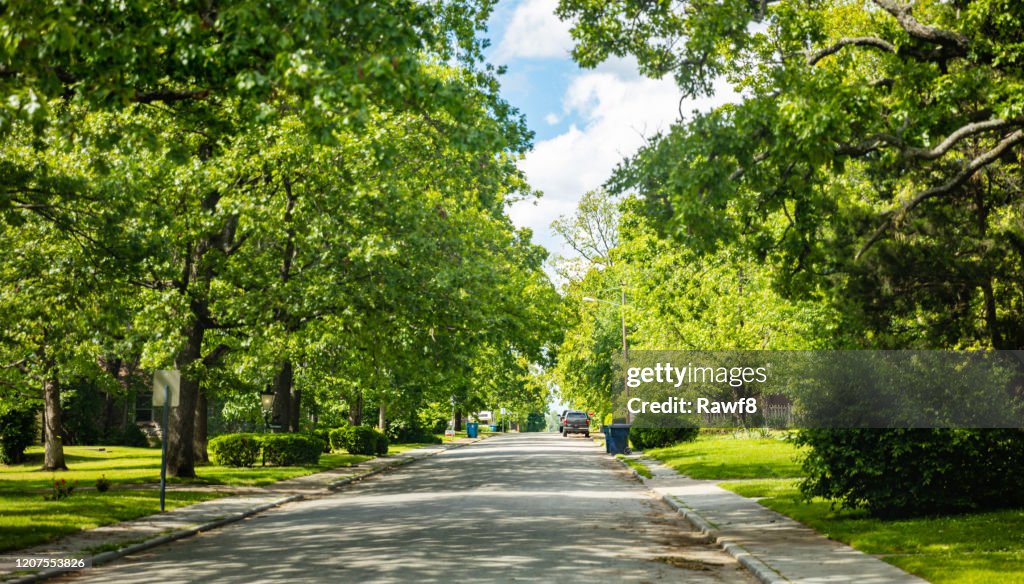 Empty Street Under Green Trees And Blue Sky In Spring Residential ...