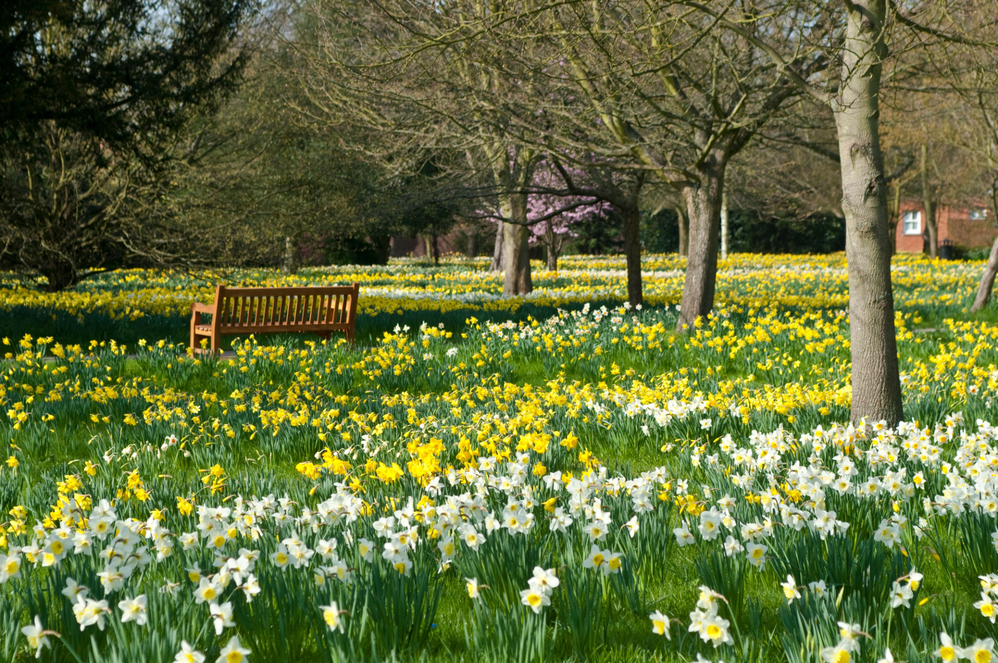 spring gardens uk