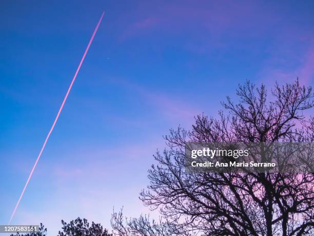 sunset in the forest in winter in full color and airplane trails in the sky - sunset with jet contrails stock pictures, royalty-free photos & images