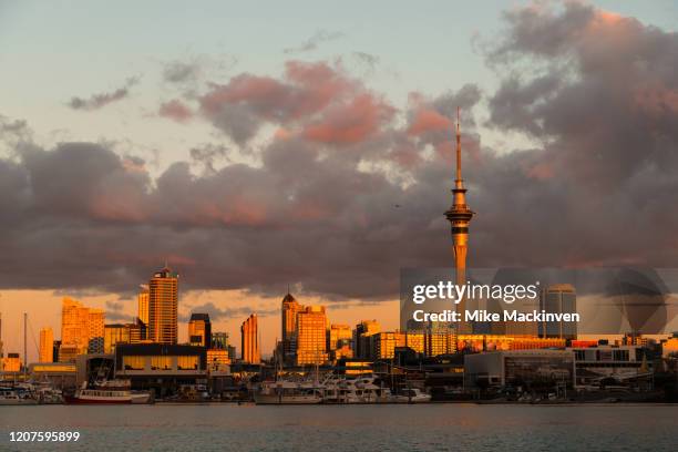 auckland city sunset - waitemata harbor stock pictures, royalty-free photos & images