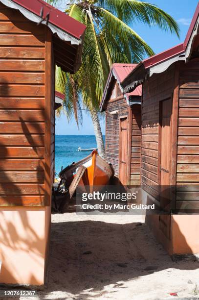 small pathway to the caribbean sea, anse dufour, martinique - martinique foto e immagini stock