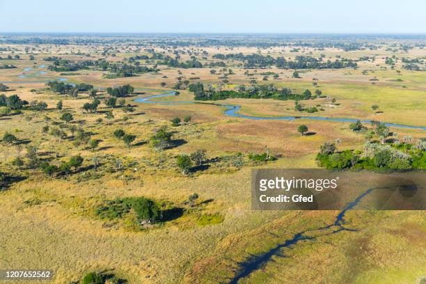 luchtfoto boven okavango delta - kalahari desert stockfoto's en -beelden