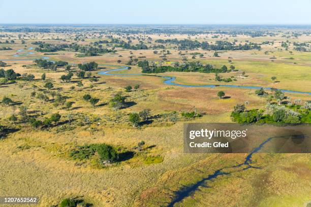 aerial view over okavango delta - okavango delta stock pictures, royalty-free photos & images