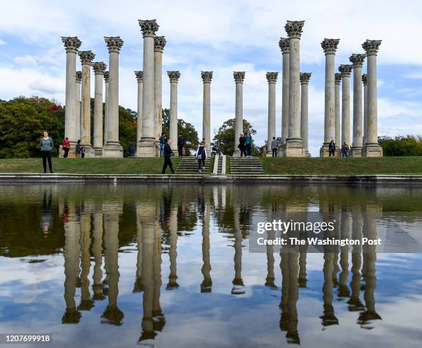 Walked Column Lincoln Arboretum Photos and Premium High Res Pictures - Getty Images