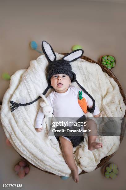 newborn baby boy wearing bunny ears and tail in a basket. - baby bunny stock pictures, royalty-free photos & images