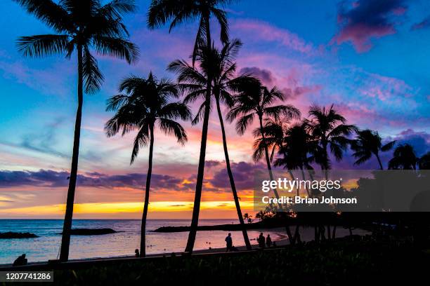 the sun setting behind a group of palm trees off of the coast of oahu hawaii at a resort - hawaiianische kultur stock-fotos und bilder