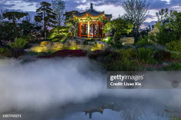 chinese traditional garden - chinese garden stock pictures, royalty-free photos & images