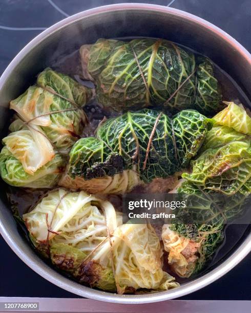 stuffed cabbage rolls - stuffed cabbage stock pictures, royalty-free photos & images