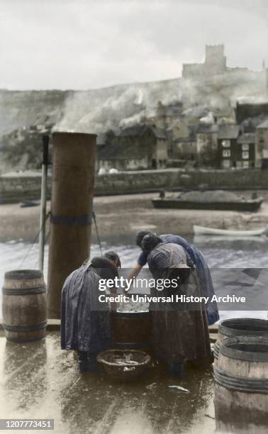 Postcard circa 1900, Victorian/Edwardian Social History. Fisherlasses at Whitby unloading and cleaning fish from a steam fishing boat, Whitby church...