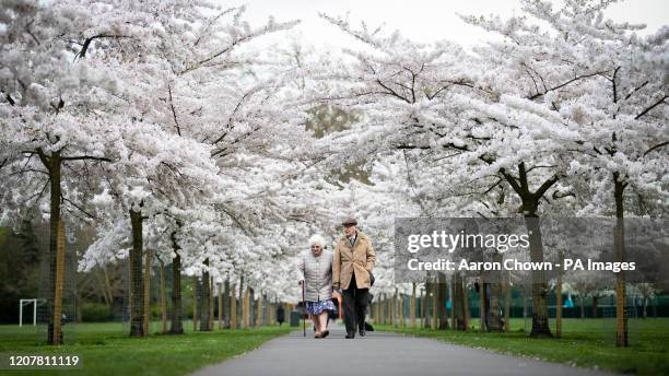 An elderly couple walk down a path lined with blossoms in Battersea Park, London.