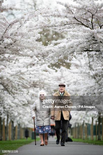 An elderly couple walk down a path lined with blossoms in Battersea Park, London.