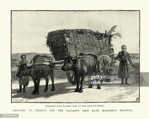 peasants with market cart on road to tiflis, georgia, 1890s - ox cart stock illustrations