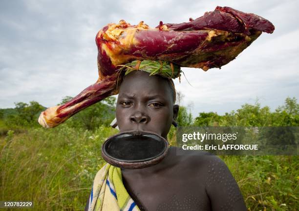 Surma woman with a huge lip plate in Kibbish village, Omo valley, Ethiopia on July 04, 2010 - Piercing and lip plates are a strong part of the Suri...