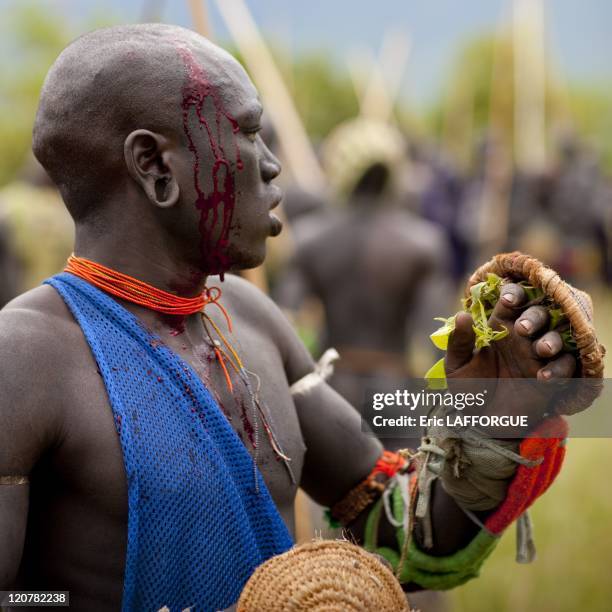 Donga stick fighting in Surma tribe - Ethiopia, One of the …