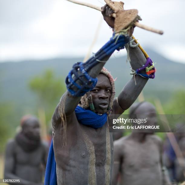 Intonga 175 Donga Stick Fighting Ritual Stock Photos, High-Res Pictures, and ...