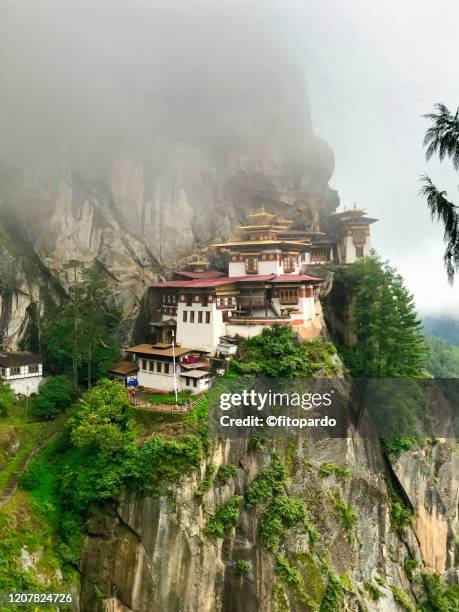 paro taktshang monastery (tiger's nest) in bhutan - taktsang monastery stock pictures, royalty-free photos & images