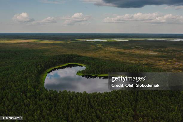 scenic aerial view of  heart-shaped lake in finland - finland summer stock pictures, royalty-free photos & images