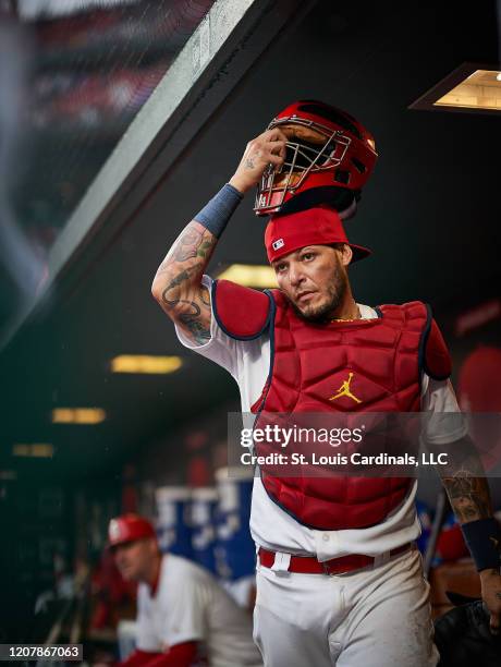 Yadier Molina of the St. Louis Cardinals puts his catchers mask on as he prepares to leave the dugout during a game against the Milwaukee Brewers on...