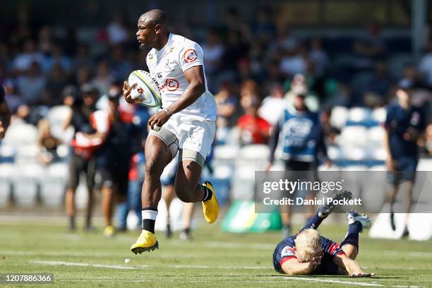 Makazole Mapimpi of the Sharks runs with the ball during the round four Super Rugby match between the Rebels and the Sharks at Mars Stadium on...