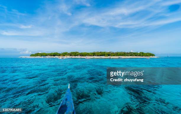 balicasag island - bohol stock pictures, royalty-free photos & images