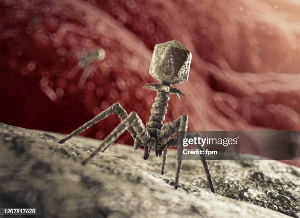 bacteriophage virus attackerar bakterien - genomborra bildbanksfoton och bilder