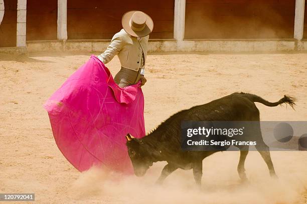 bullfighter in action - corrida de touros imagens e fotografias de stock