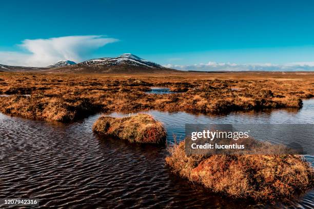 flussland torfmoore in forsinard, schottland - moore stock-fotos und bilder