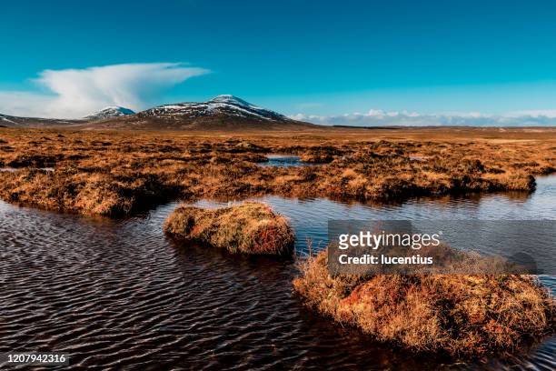pântanos de turfa do país fluflow em forsinard, escócia - bog - fotografias e filmes do acervo