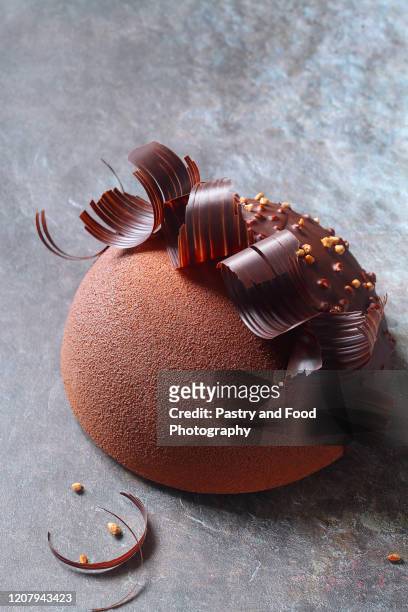 contemporary chocolate hazelnut dome mousse cake - chocolate pudding imagens e fotografias de stock