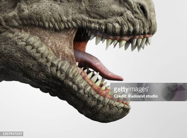 close up of t-rex dinosaur mouth - animal teeth stock pictures, royalty-free photos & images