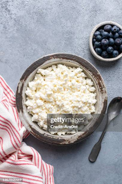 curd cheese, cottage cheese - cottage cheese stock pictures, royalty-free photos & images