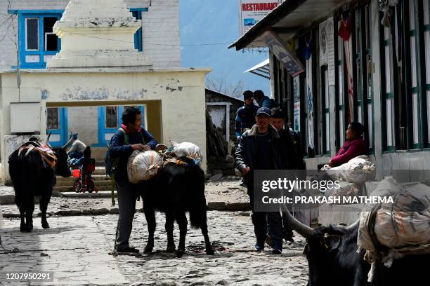 Man unloads goods from the back of a working animal at in Lukla village, some 140 kms northeast of Kathmandu, on March 22, 2020. - Nepal has...