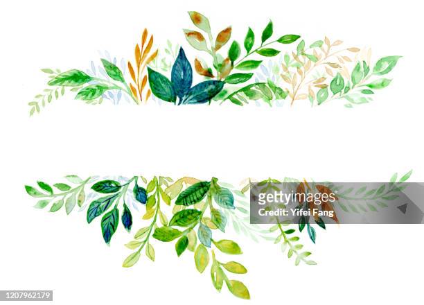 watercolour drawing of plants in frame shape - watercolour foliage ストックフォトと画像