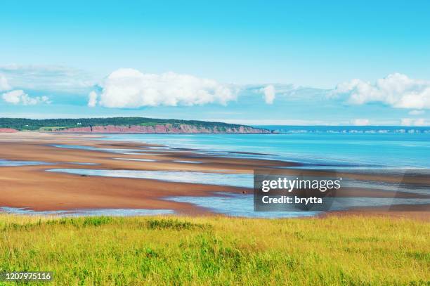 bay of fundy, new brunswick,canada - bay of fundy stock pictures, royalty-free photos & images