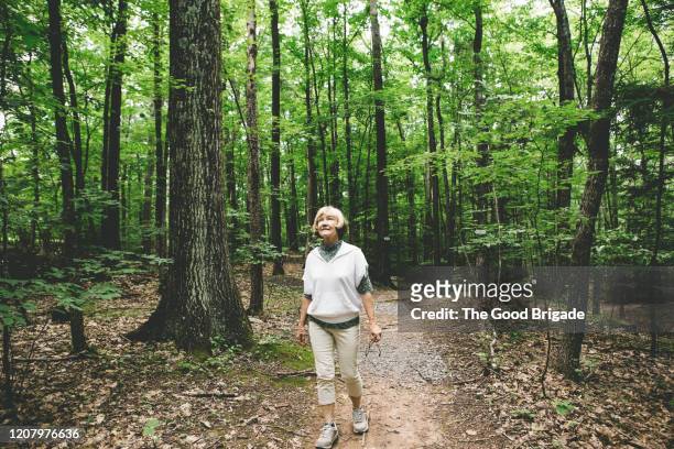 portrait of senior woman standing in forest looking up to sky - short trees bildbanksfoton och bilder