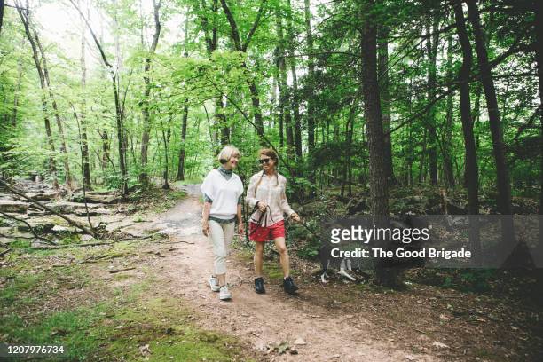 mother and daughter hiking in forest with dog - dog days of summer bildbanksfoton och bilder