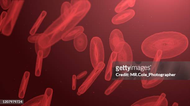 illustration red blood cell futuristic digital  design,abstract background for business science and technology - piastrina foto e immagini stock
