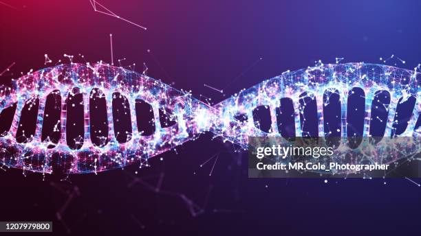 illustration dna wire frame futuristic digital design,abstract background for business science and technology - mutation génétique photos et images de collection