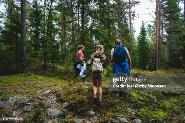 group of friends out in the forest to pick edible mushroom - oslo city life stock pictures, royalty-free photos & images