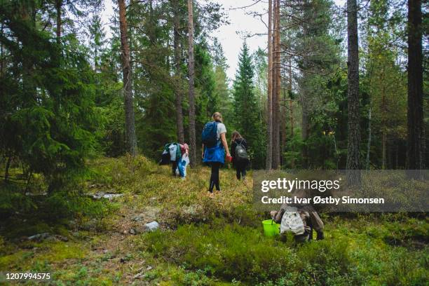 group of friends out in the forest to pick edible mushroom - norweigan children stock pictures, royalty-free photos & images