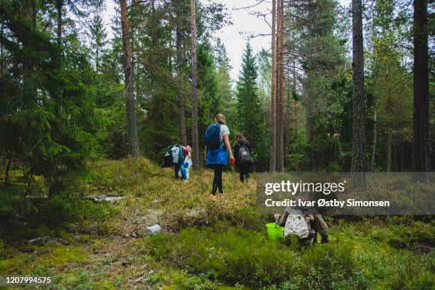 group of friends out in the forest to pick edible mushroom - oslo city life stock pictures, royalty-free photos & images