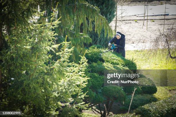 Nun is seen pruning boscage at a monastery in central Warsaw, Poland on March 23, 2020.