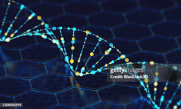 dna digitale - cromosoma foto e immagini stock