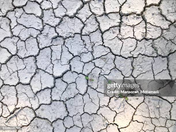 dry desert - golfo pérsico - fotografias e filmes do acervo