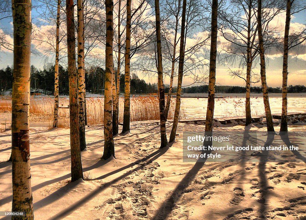 Shadows on snow
