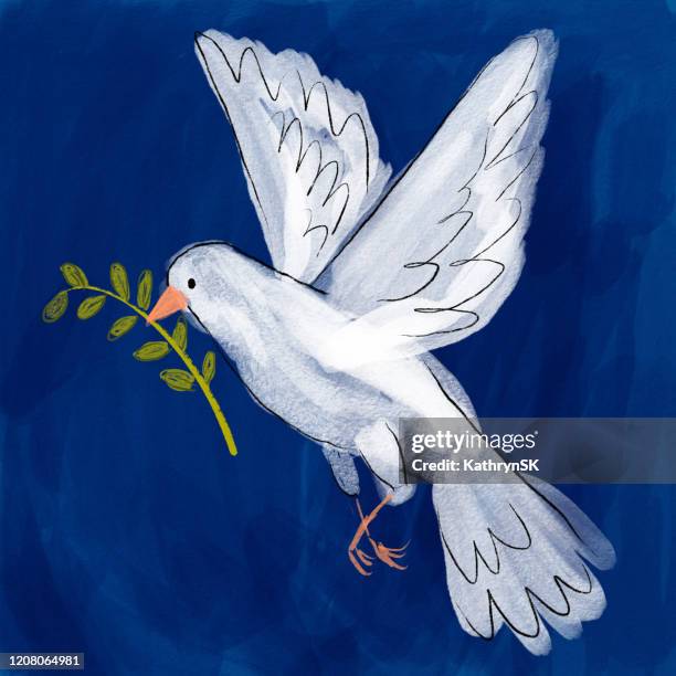 ilustraciones, imágenes clip art, dibujos animados e iconos de stock de dove holding olive branch - paloma blanca