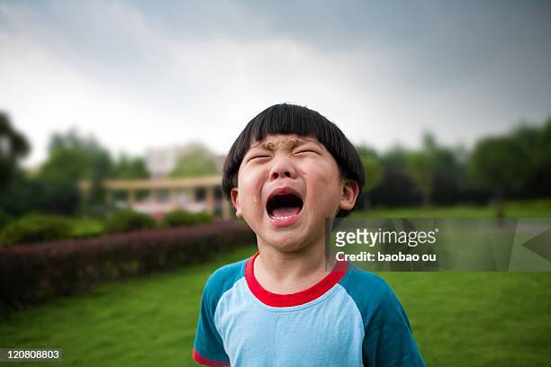 little boy crying on grass - cried stock pictures, royalty-free photos & images