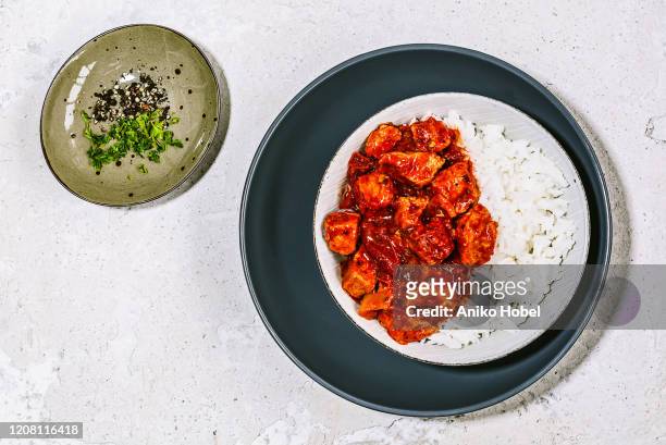 pork stew with rice - eintopf von oben stock-fotos und bilder