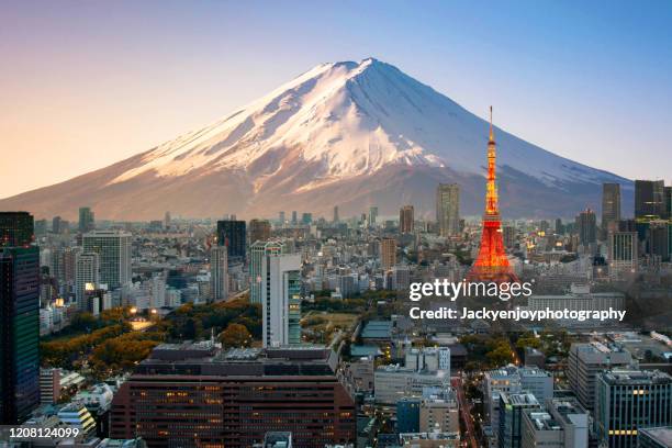 mt. fuji and tokyo skyline - torre di tokyo foto e immagini stock
